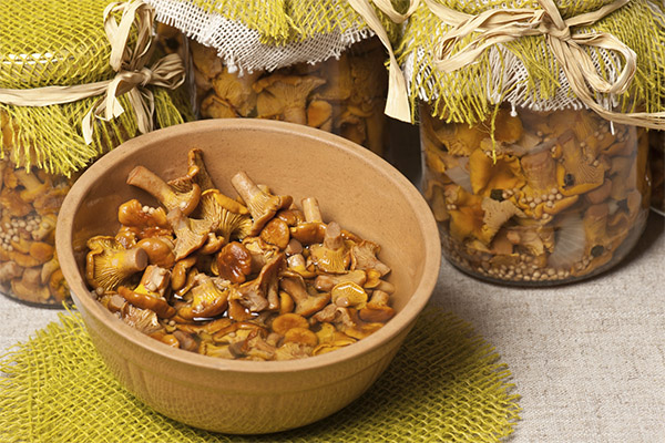 Comment mariner les chanterelles pour l'hiver