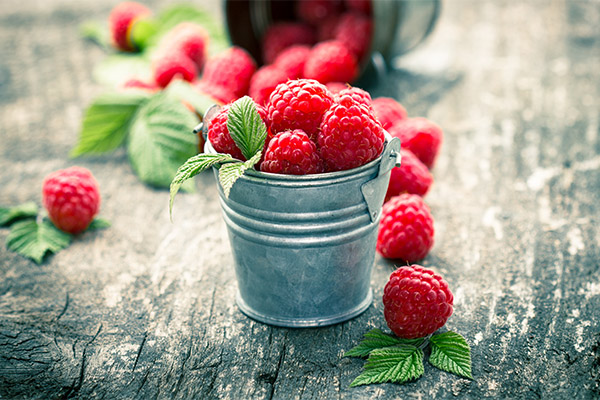 Wie lagert man Himbeeren richtig?