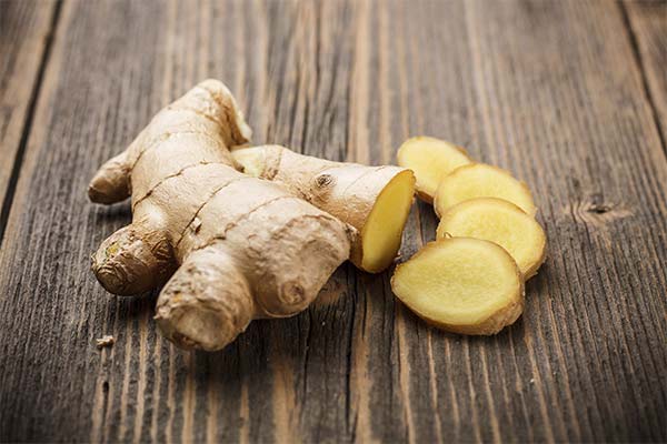 Comment introduire correctement le gingembre dans l'alimentation d'une maman qui allaite