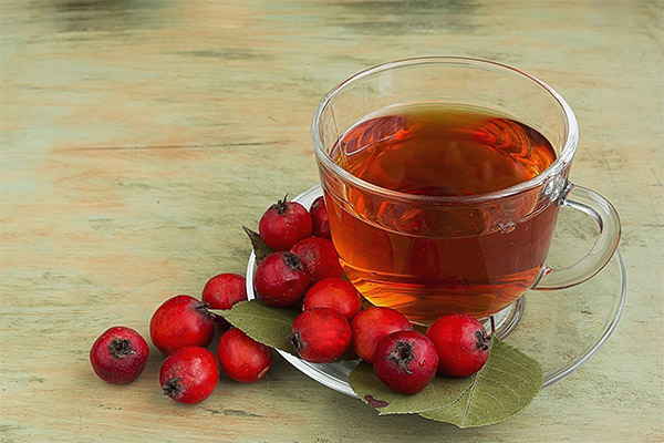 Comment infuser correctement l'aubépine