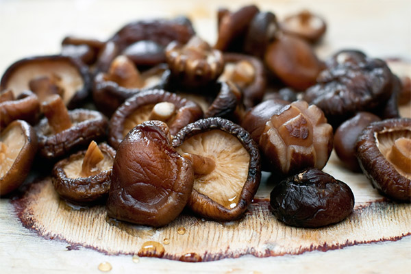 Wie bereitet man Shiitake-Pilze zu?
