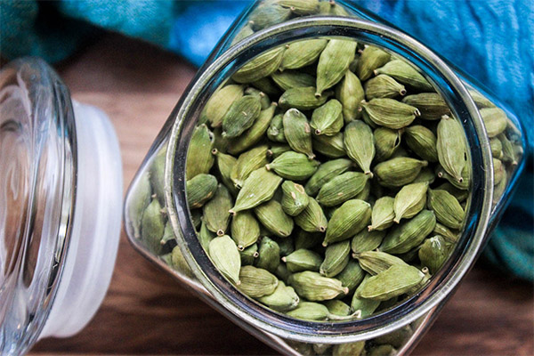 Comment choisir et conserver la cardamome