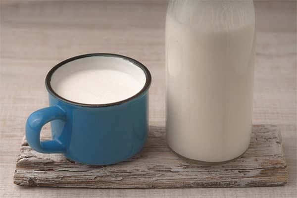 Comment choisir et conserver le kéfir