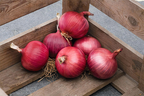 Comment choisir et conserver l'oignon rouge