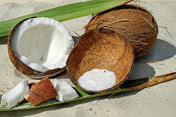 La noix de coco en cosmétologie