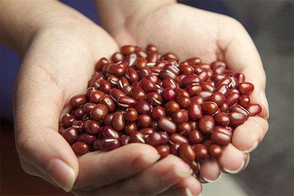 Le haricot rouge pour la perte de poids