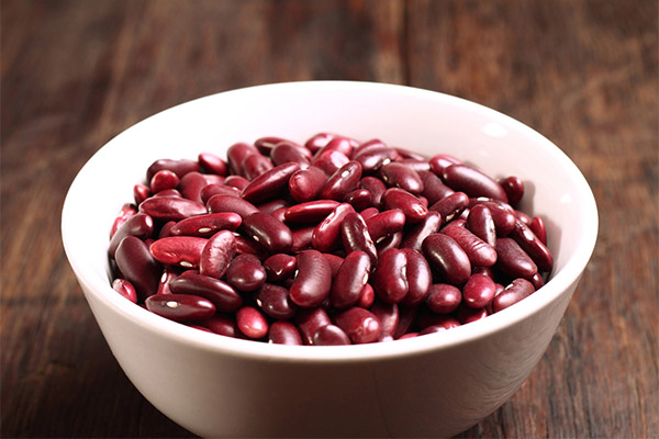 Les haricots rouges en médecine