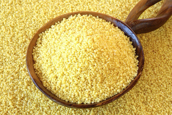 Le couscous en cosmétologie