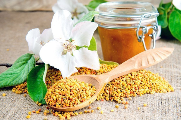 Propriétés médicinales du pollen d'abeille