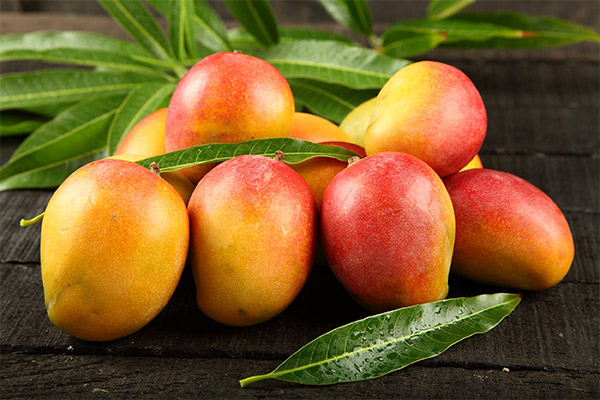 La mangue en médecine