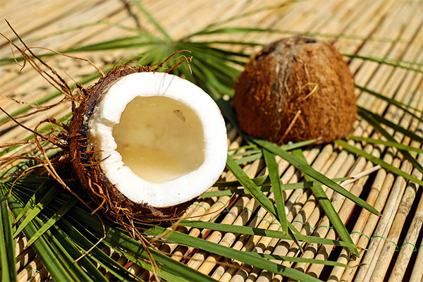 Peut-on manger de la noix de coco lorsqu'on perd du poids ?