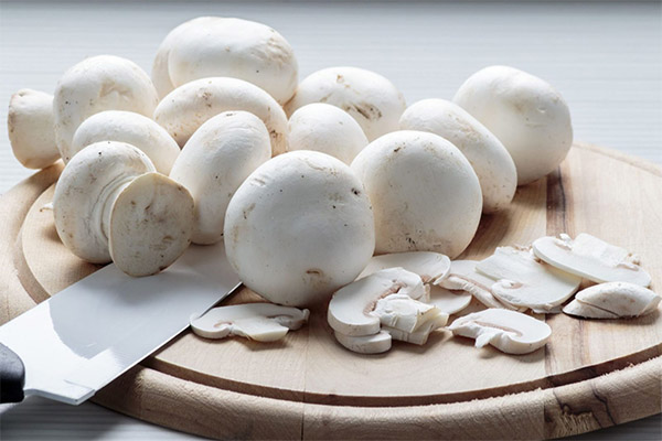 Peut-on consommer des champignons de Paris pendant un régime ?