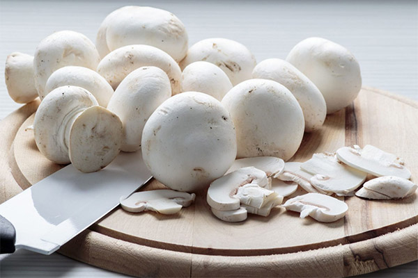 Peut-on manger des champignons de Paris crus ?