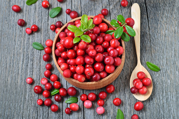 Bienfaits et méfaits de l'airelle rouge