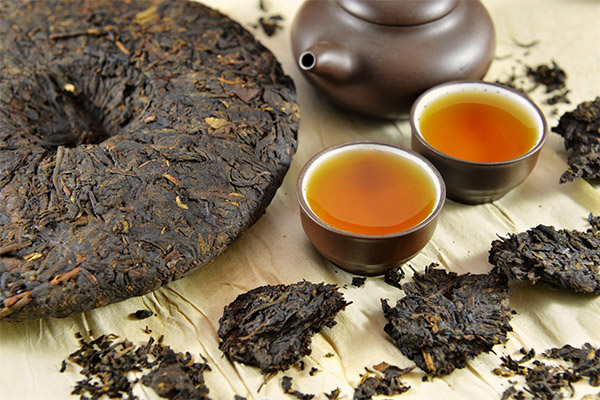 Nutzen und Schaden von Pu-Erh-Tee
