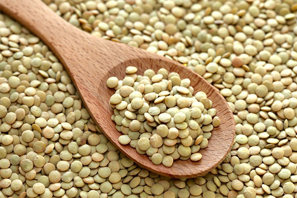 Bienfaits et méfaits des lentilles