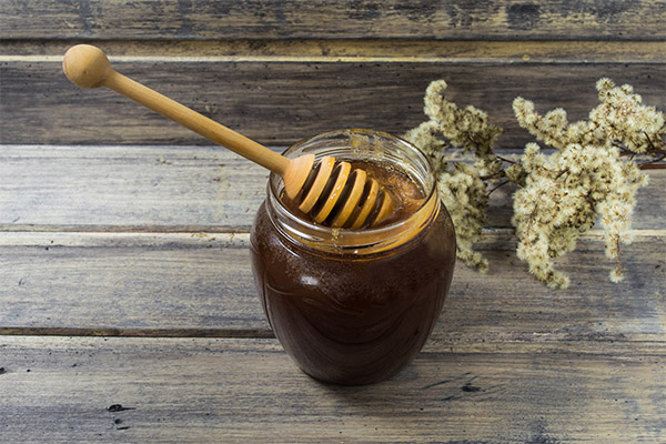 Nutzen und Schaden von Buchweizenhonig