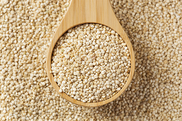 Bienfaits et méfaits du quinoa