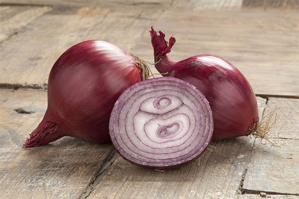 Bienfaits et méfaits de l'oignon rouge