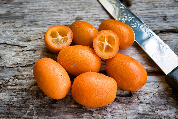 Bienfaits et méfaits du kumquat