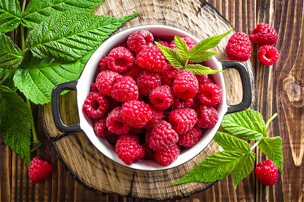 Nutzen und Schaden von Himbeeren