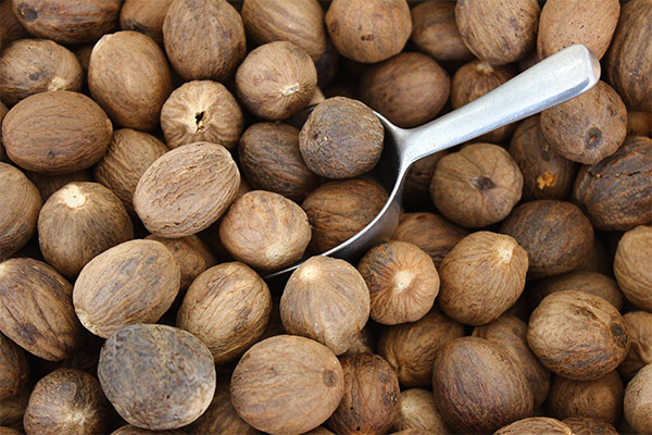 Nutzen und Schaden der Muskatnuss