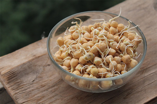 Nutzen und Schaden von gekeimten Kichererbsen