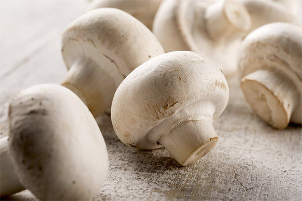 Bienfaits et risques des champignons de Paris