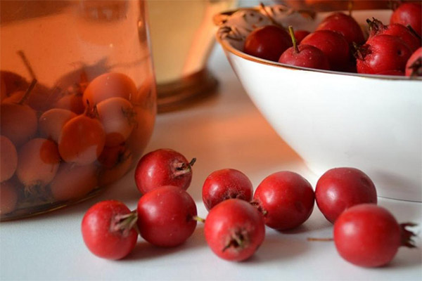 Recettes de médecine traditionnelle à base d'aubépine