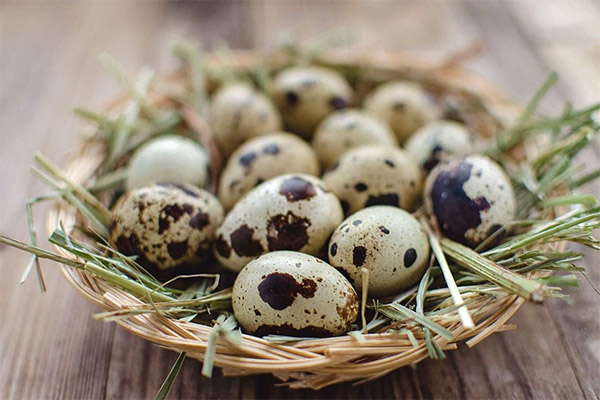 Recettes de médecine traditionnelle à base d'œufs de caille