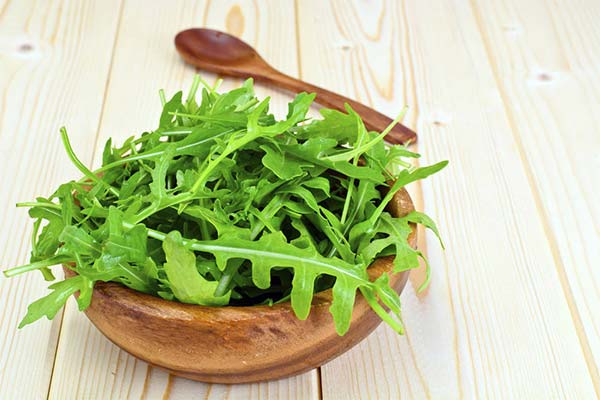 Roquette pendant l'allaitement