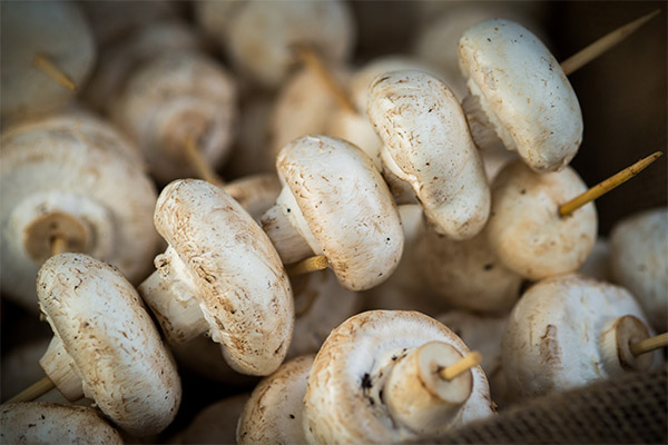 Brochettes de champignons de Paris