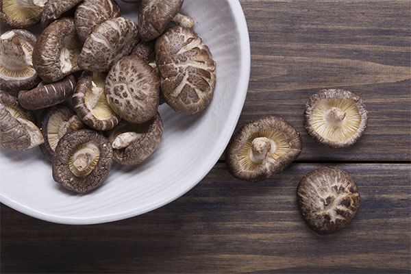 Shiitake in der Kosmetik