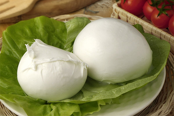 Le fromage mozzarella pendant la grossesse