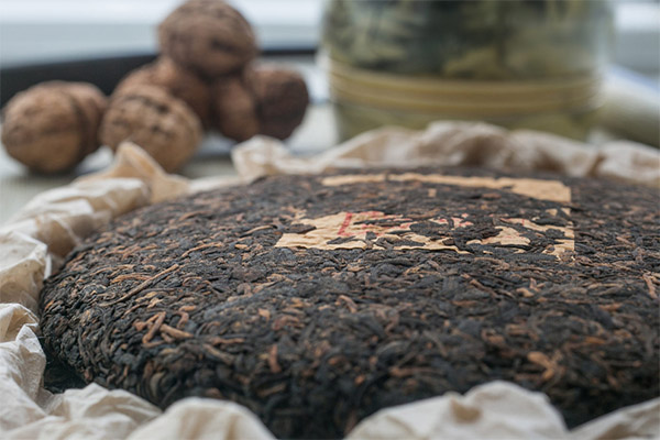 Schädliche Wirkungen und Gegenanzeigen von Pu-Erh-Tee