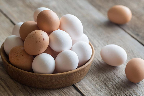 Quelle est la différence entre les œufs blancs et les œufs bruns ?