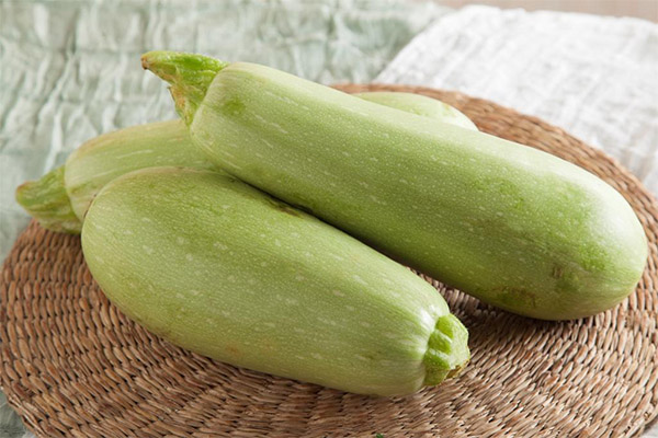 Worin liegt der Nutzen von Zucchini?