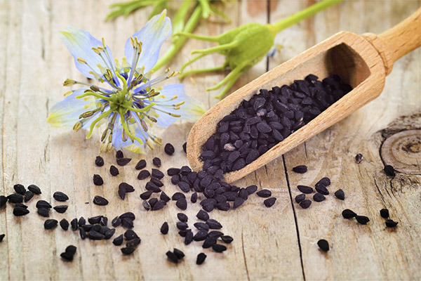Le cumin noir en médecine