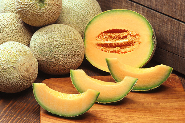 Was kann man aus Melone zubereiten?