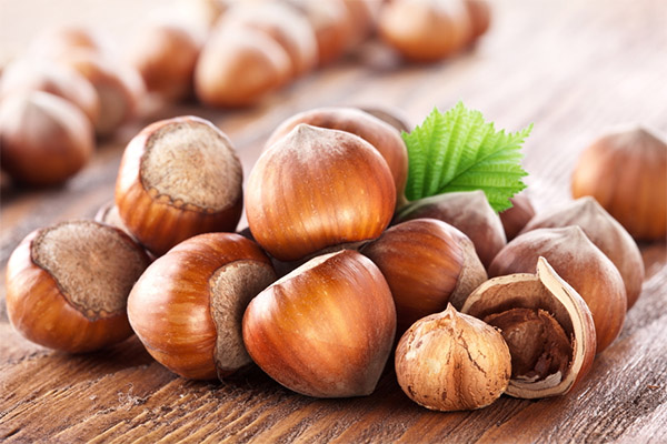 Haselnuss in der Medizin