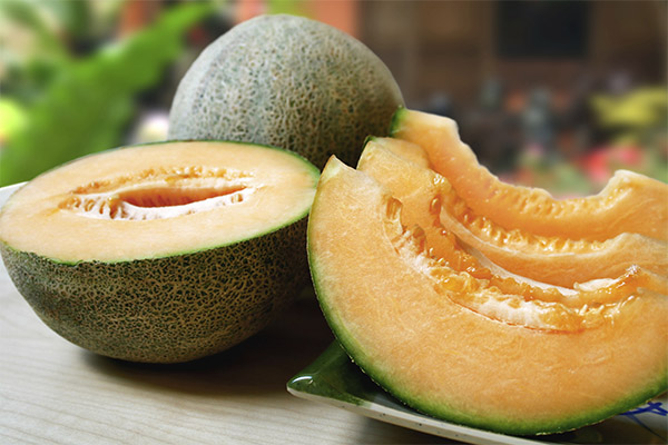 Interessante Fakten über die Melone