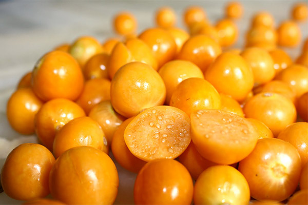 Faits intéressants sur le physalis