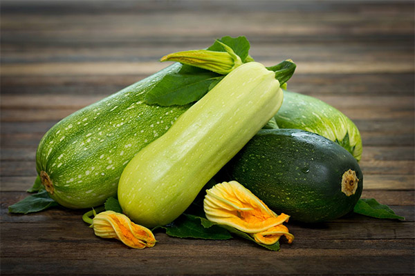 Interessante Fakten über Zucchini