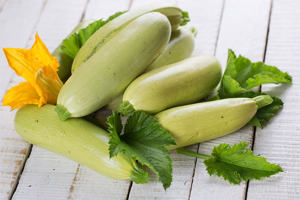 Faits intéressants sur les courgettes