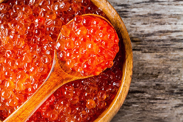 Faits intéressants sur le caviar rouge