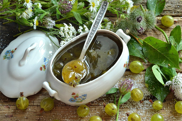 Confiture de groseille à maquereau émeraude
