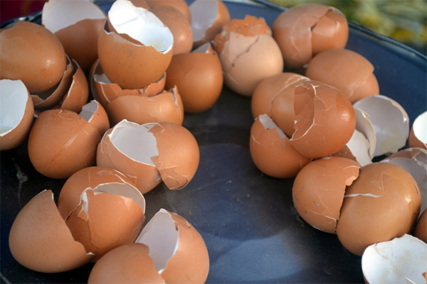Comment donner de la coquille d'œuf aux enfants