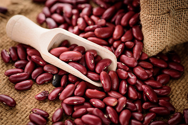 Comment conserver les haricots
