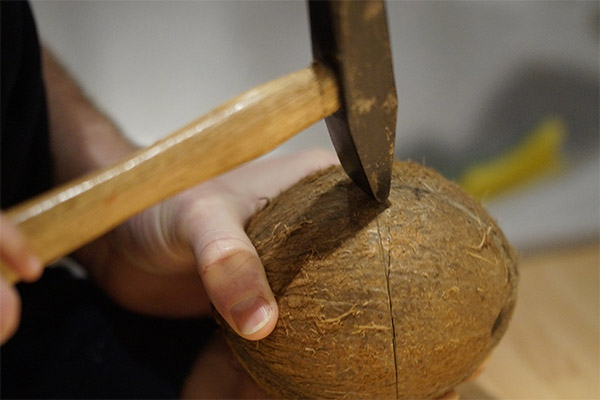 Wie man eine Kokosnuss mit einem Hammer öffnet