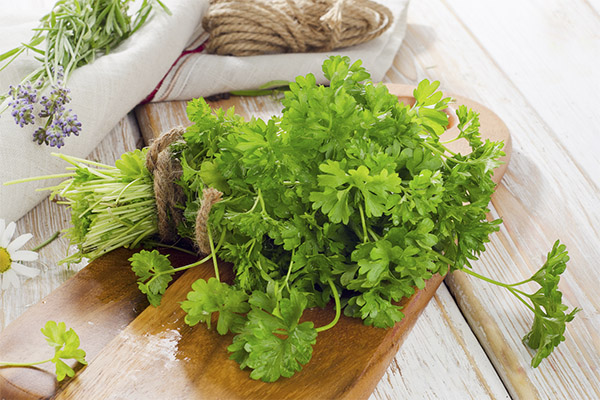 Comment manger correctement le persil